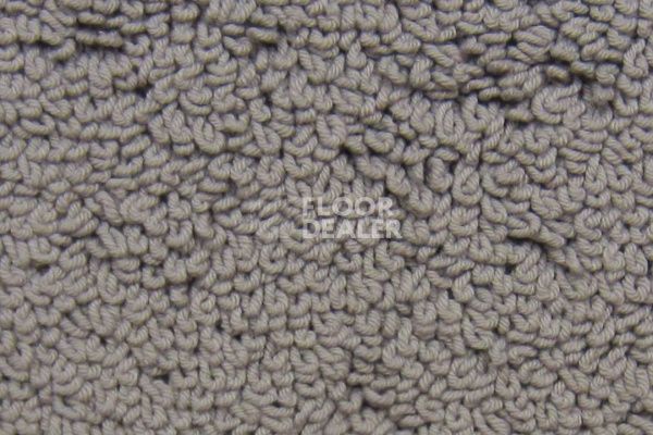 Ковролин CONDOR Carpets Cotton Dream 301 фото 1 | FLOORDEALER